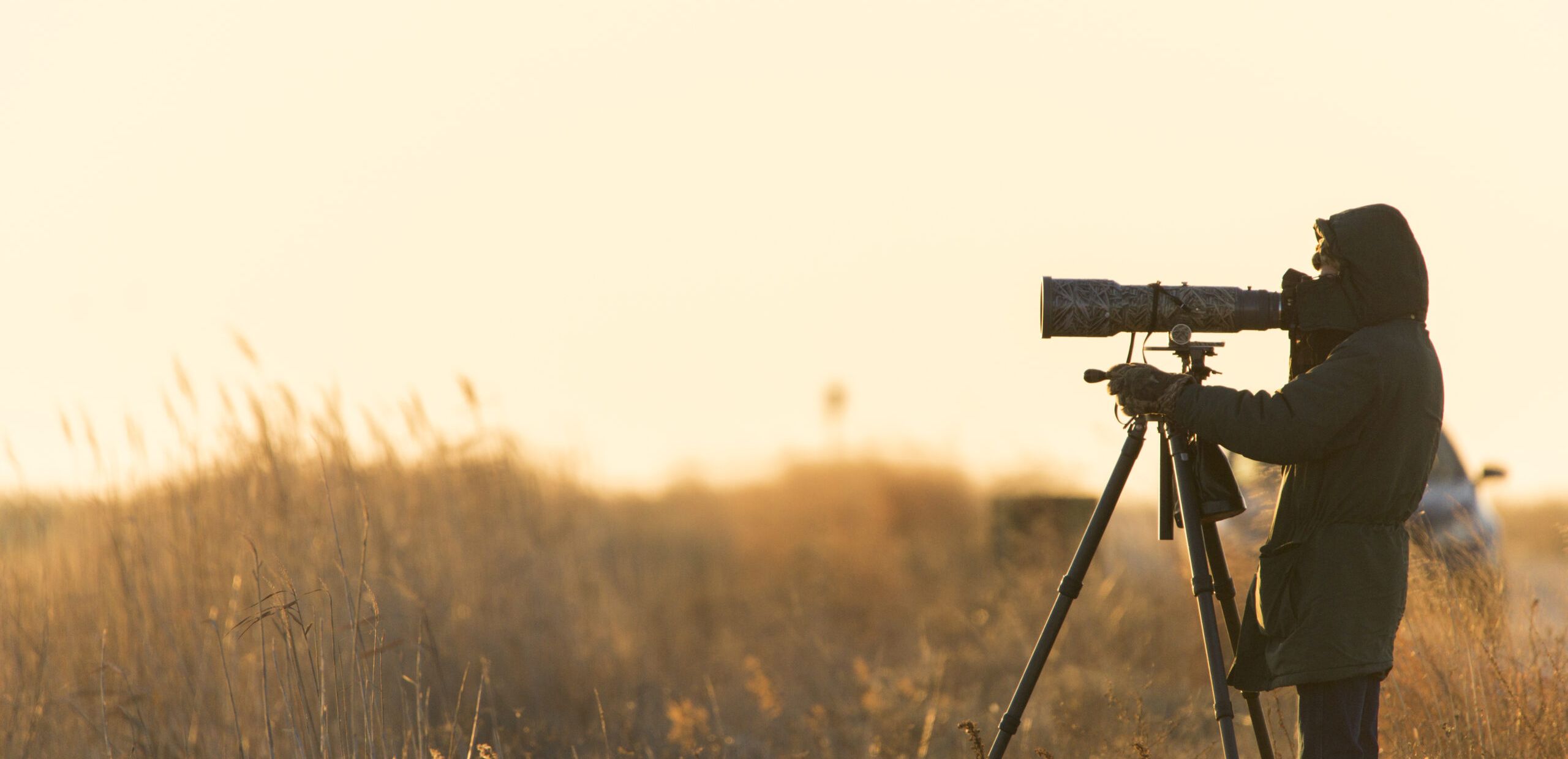 photography setup by the beach