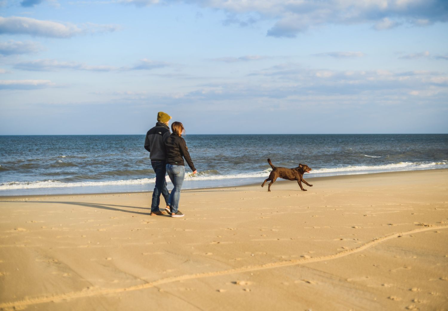couple with a dog walking beside the beach