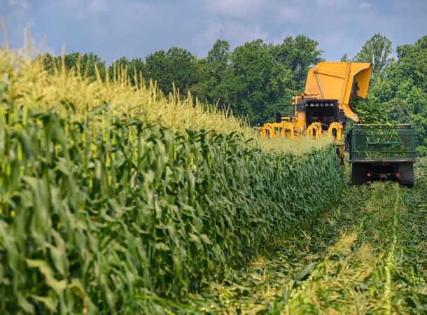 Delaware farm with beautiful landscape